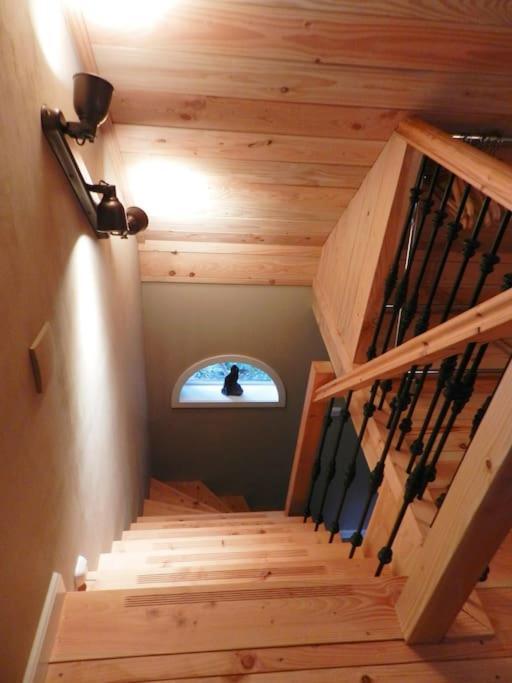 Tiny House Tholen Βίλα Εξωτερικό φωτογραφία