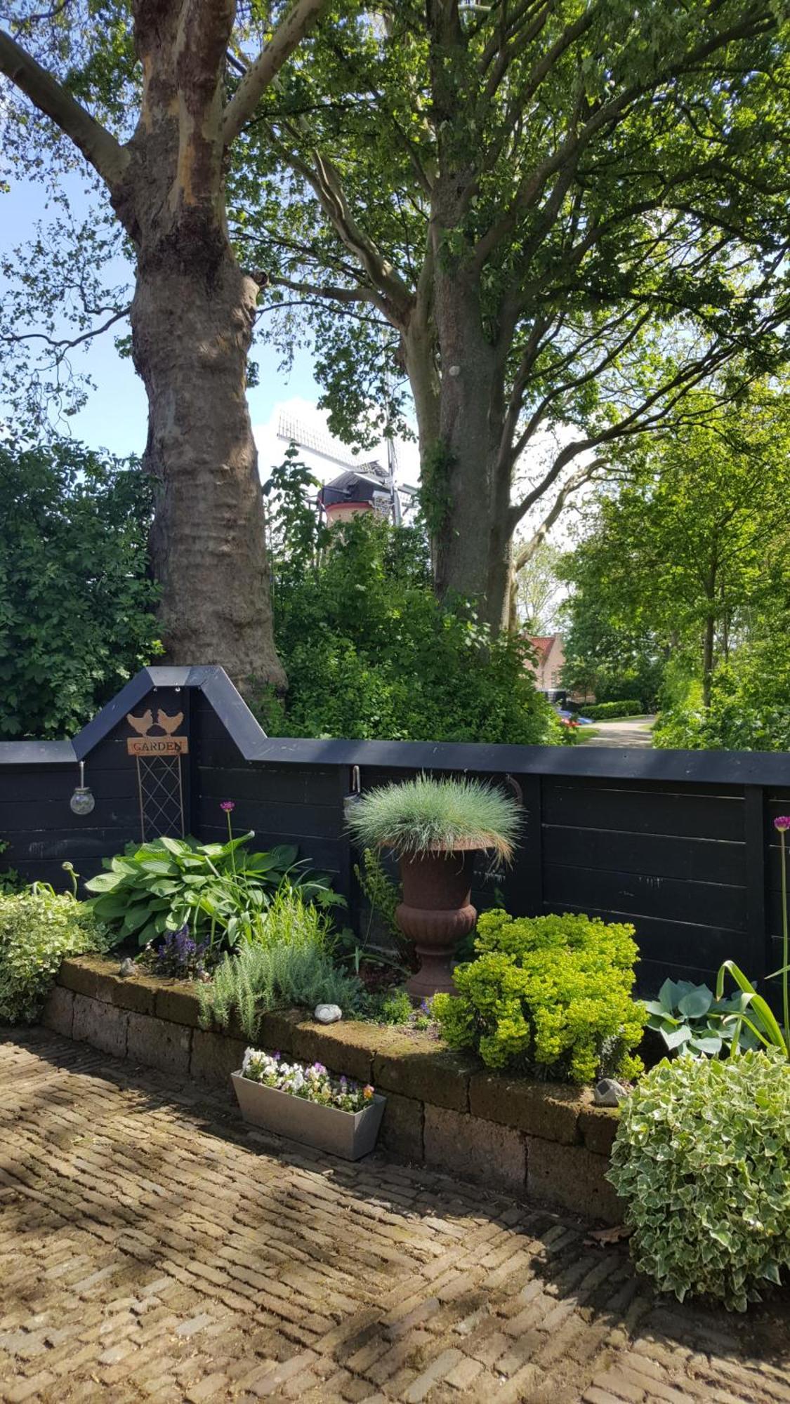 Tiny House Tholen Βίλα Εξωτερικό φωτογραφία